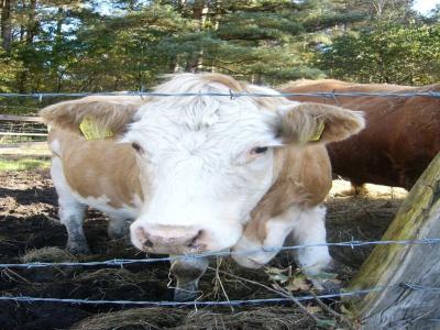 Geocachen Okt.2007
